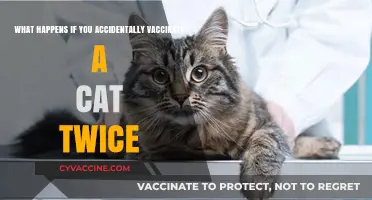 Double Dose Dilemma: Effects of Accidental Double Vaccination in Cats