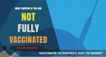Unvaccinated Risks: Health, Travel, and Social Implications Explained