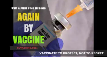Revisiting the Jab: What Happens If You're Poked Again by Vaccine?