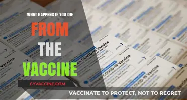 Vaccine-Related Deaths: Unraveling the Rare Risks and Realities