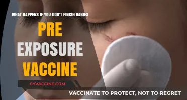 Skipping Rabies Pre-Exposure Vaccine: Risks and Consequences Explained