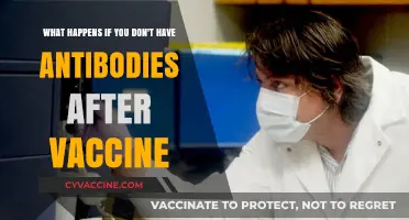 No Antibodies After Vaccination: Understanding the Risks and Implications
