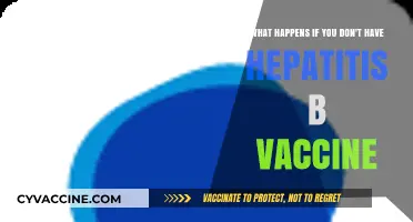 Skipping Hepatitis B Vaccine: Risks, Consequences, and Prevention Explained