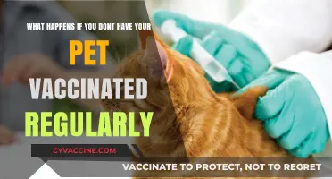 Skipping Pet Vaccinations: Risks, Consequences, and Preventable Health Threats