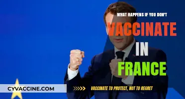 Skipping Vaccines in France: Legal Consequences and Public Health Risks