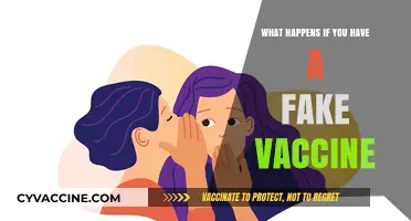 Fake Vaccines: Risks, Consequences, and Impact on Public Health