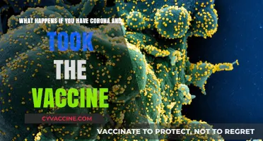 Vaccinated and Tested Positive: What Happens After a COVID-19 Breakthrough Infection?