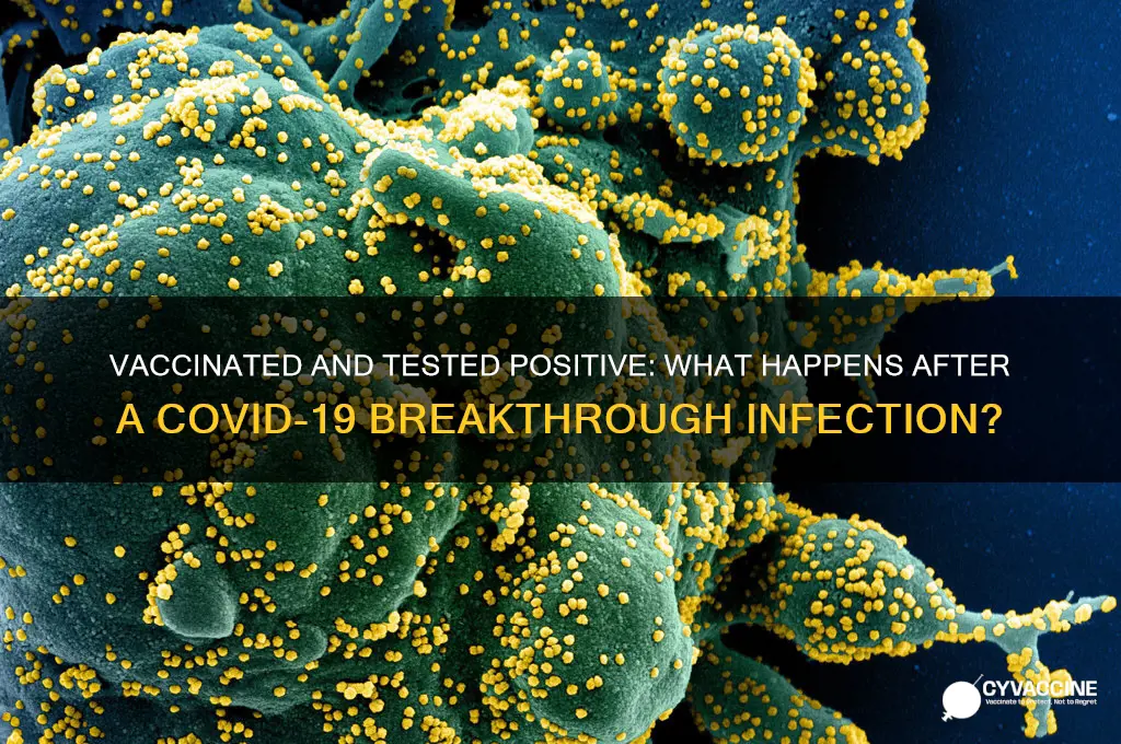 what happens if you have corona and took the vaccine