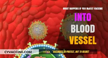 Injecting Vaccines into Blood Vessels: Risks, Consequences, and Safety Concerns