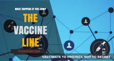 Jumping the Vaccine Line: Ethical Concerns and Potential Consequences
