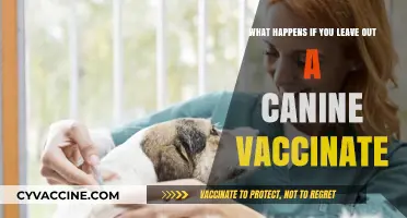 Skipping Canine Vaccines: Risks, Consequences, and Pet Health Threats