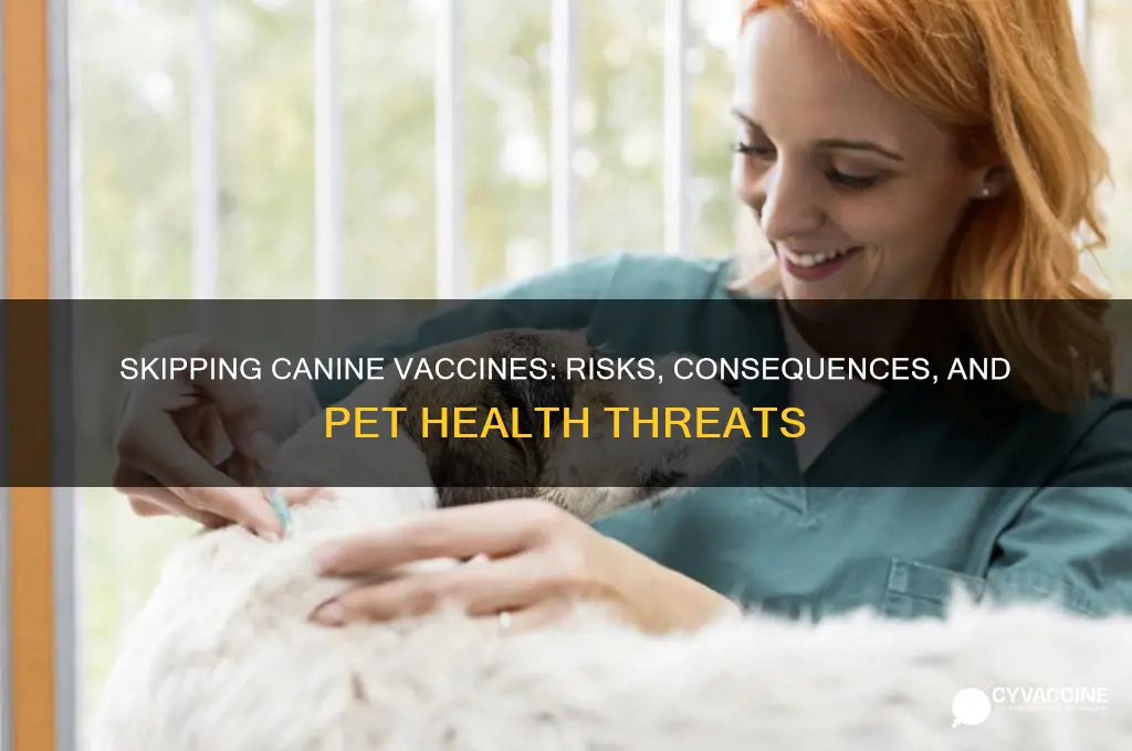what happens if you leave out a canine vaccinate