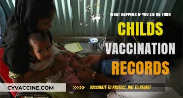 Lying on Child Vaccination Records: Consequences, Risks, and Legal Implications