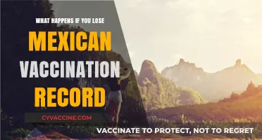 Losing Your Mexican Vaccination Record: Consequences and Solutions Explained
