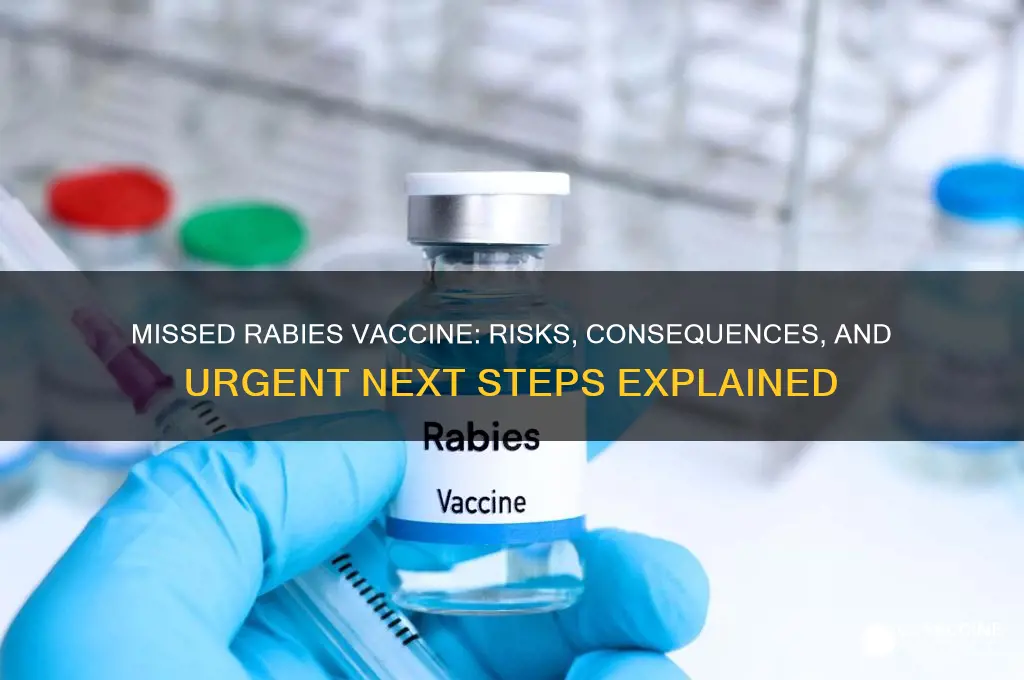 what happens if you miss a rabies vaccine