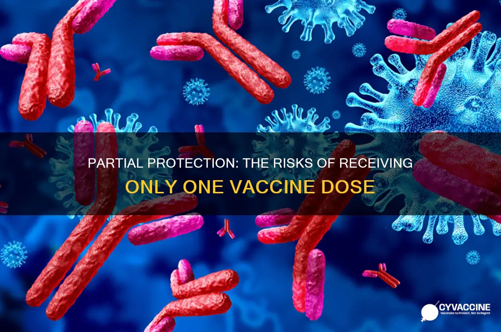 what happens if you only got one vaccine