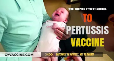 Pertussis Vaccine Allergy: Symptoms, Risks, and Safe Alternatives Explained