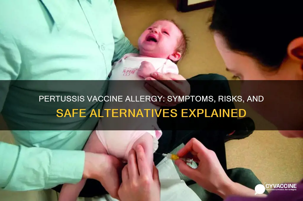 what happens if you re allergic to pertussis vaccine