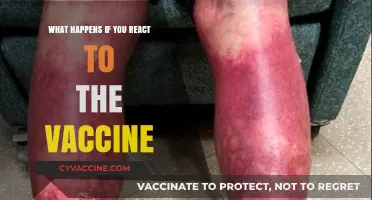 Understanding Vaccine Reactions: What to Expect and When to Seek Help