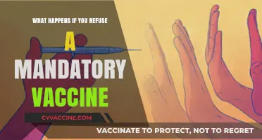 Refusing Mandatory Vaccines: Legal, Social, and Health Consequences Explained