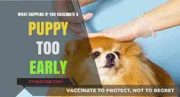 Early Puppy Vaccination Risks: What Happens If You Vaccinate Too Soon?