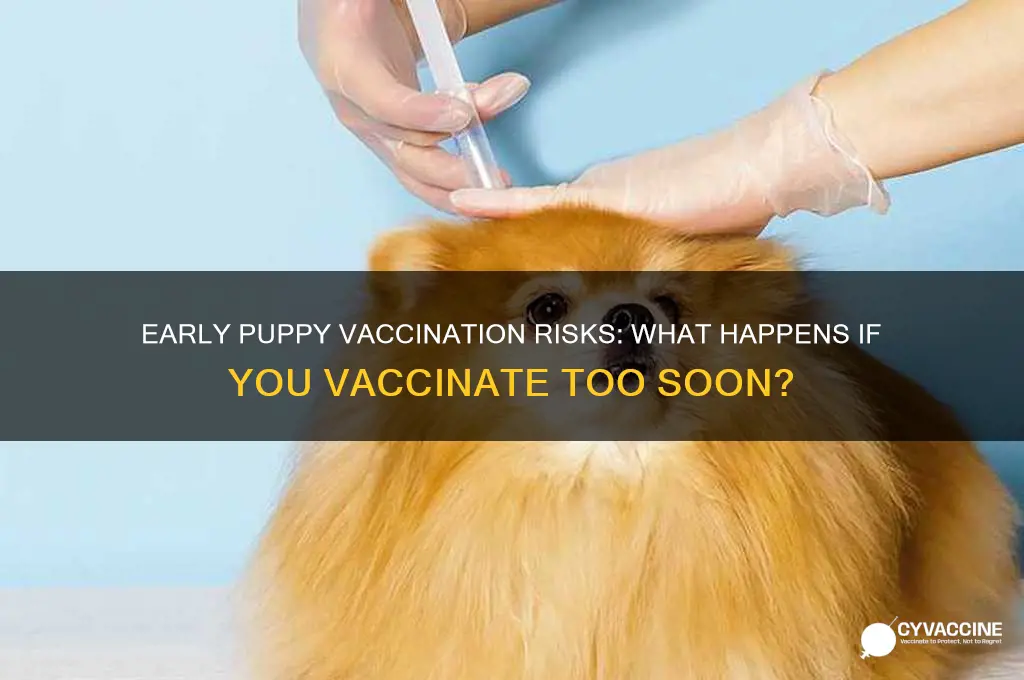 what happens if you vaccinate a puppy too early