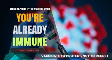 Vaccinating While Immune: Understanding the Effects and Safety Concerns