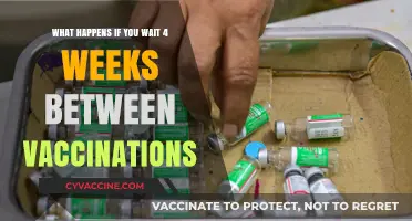 Delayed Vaccination Impact: Effects of a 4-Week Gap Between Doses