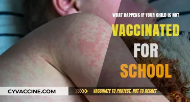 Skipping Vaccines: Risks and Consequences for Your Child’s School Journey