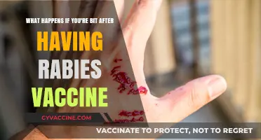 Rabies Vaccine Post-Exposure: What Happens If You're Bitten?