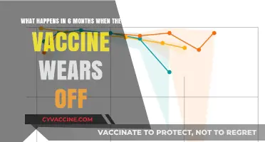 Vaccine Efficacy Decline: What to Expect After Six Months?