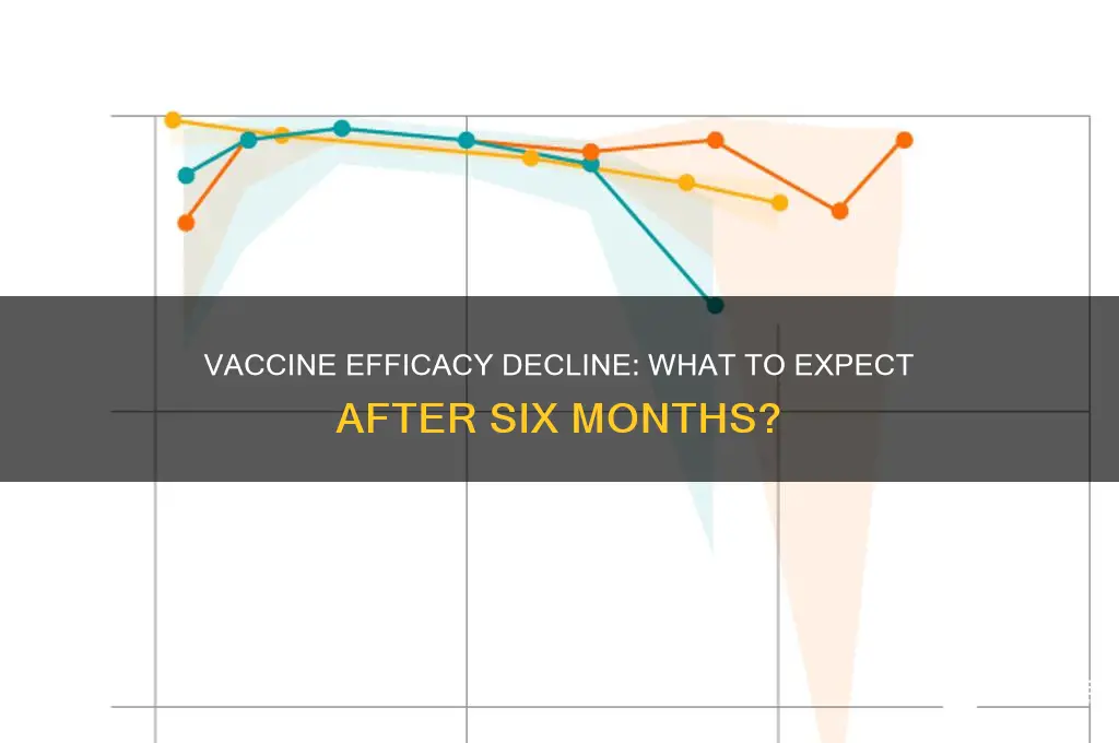 what happens in 6 months when the vaccine wears off