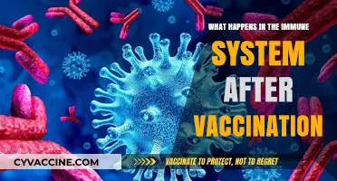 How Vaccines Trigger Immune System Response and Build Protection