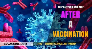 How Vaccines Trigger Immune Response: Post-Vaccination Body Changes Explained