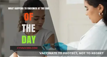 Vaccine Storage Secrets: What Happens After Daily Distribution?