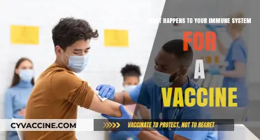 How Vaccines Strengthen Your Immune System: A Detailed Breakdown