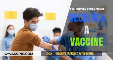 How Vaccines Work: Unveiling the Body's Immune Response Post-Injection