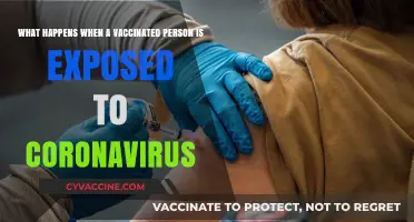 Vaccinated and Exposed: Understanding COVID-19 Risks Post-Vaccination
