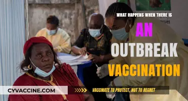 Outbreak Vaccination: How Immunization Campaigns Control Disease Spread