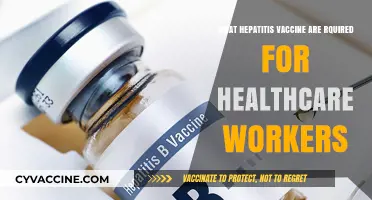 Essential Hepatitis Vaccines for Healthcare Workers: Protecting Patients and Providers