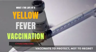 Yellow Fever Vaccination: Journey, Duration, and Lifelong Protection Explained