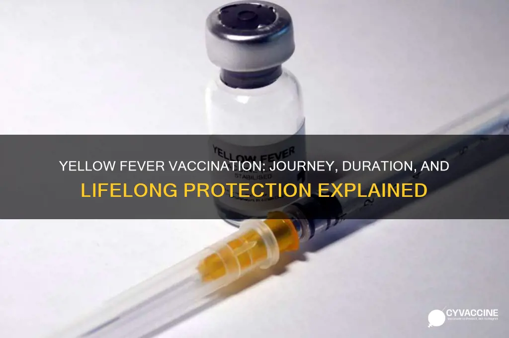 what i the life of a yellow fever vaccination