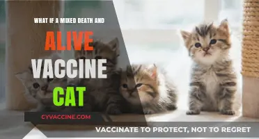 Mixed Vaccine Cat: Exploring the Risks of Live and Dead Components