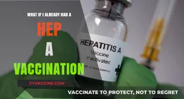 Hep A Vaccination: What It Means If You're Already Protected
