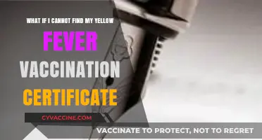Lost Yellow Fever Certificate? Steps to Take and Travel Tips