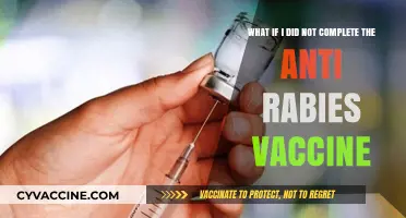 Skipping Anti-Rabies Vaccine: Risks, Consequences, and What You Need to Know