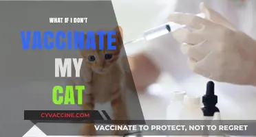 Skipping Cat Vaccinations: Risks, Consequences, and What You Need to Know