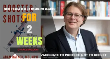 Missing Booster Vaccination Deadline: What Happens After 2 Weeks?