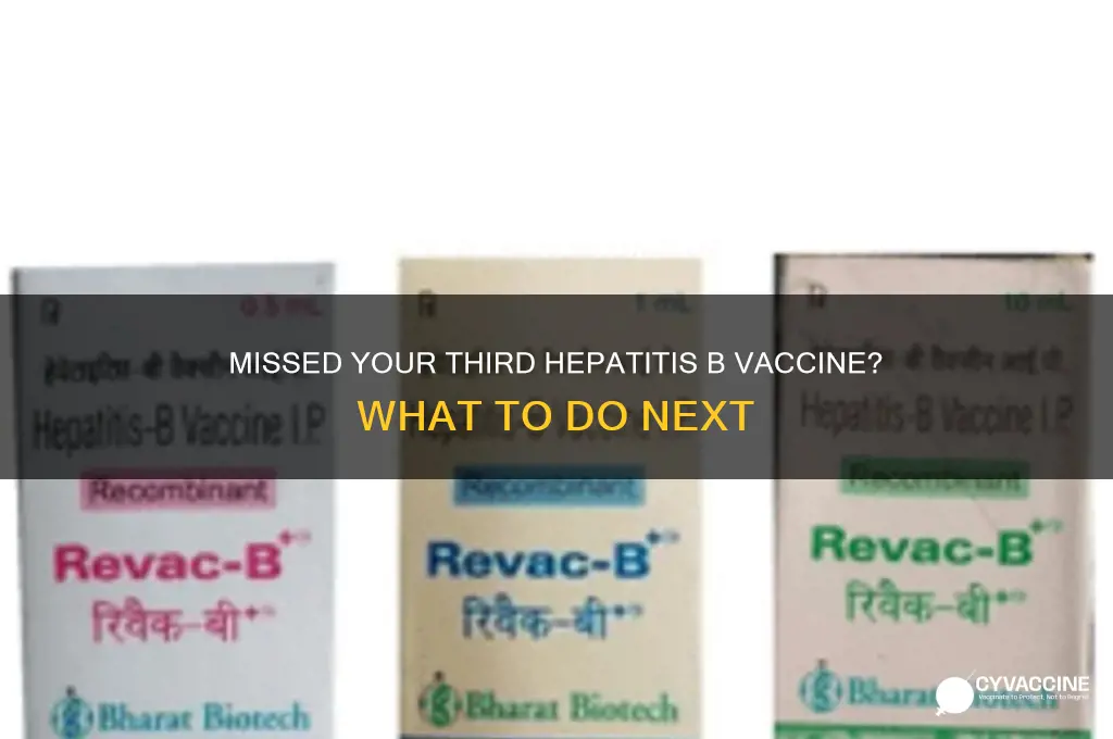 what if i missed my third hepatitis b vaccine