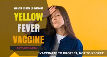 Traveling Without Yellow Fever Vaccination: Risks and Consequences Explained
